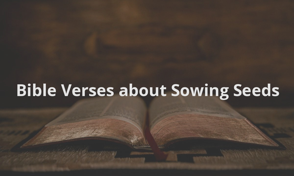 Bible Verses about Sowing Seeds