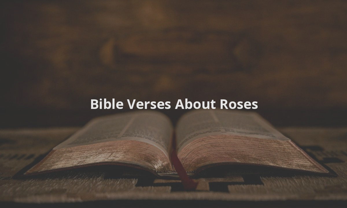 Bible Verses About Roses