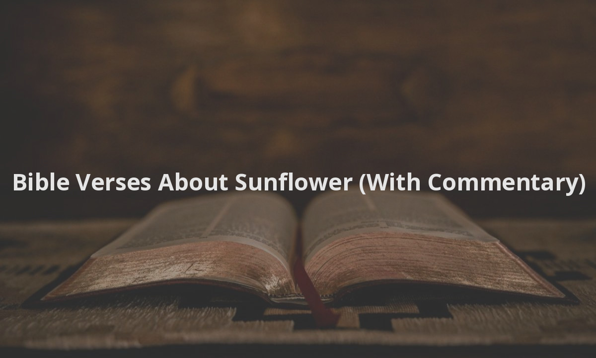 Bible Verses About Sunflower (With Commentary)